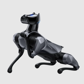 CyberDog