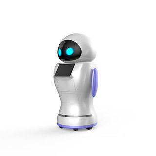 KaKa Robot (Transport version)