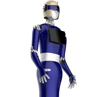 LanDou Robot