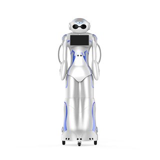 DaBai Robot