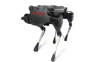 Laikago
