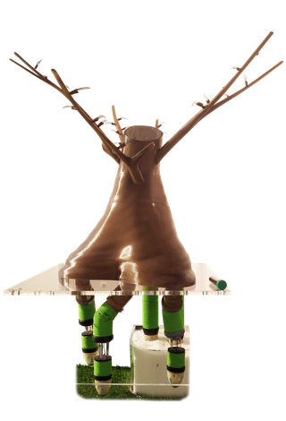 PLANTOID