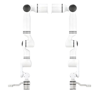 RX75 Vision