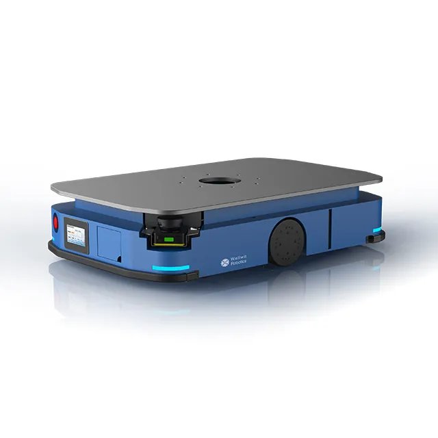 W5-600DL