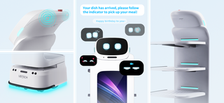 CADEBOT L100