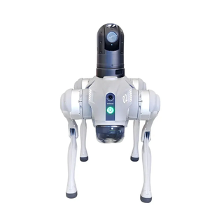 MUKA PTR-OK-RBO5 Autonomous Quadruped Robot Dog