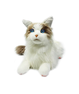 metaCat