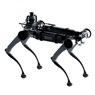RBQ-10