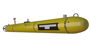 Bluefin-12