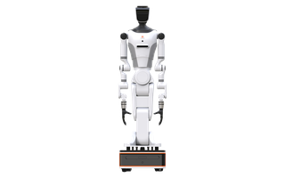 RealBot-01