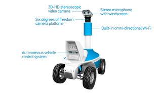 Virtual Telepresence Robot