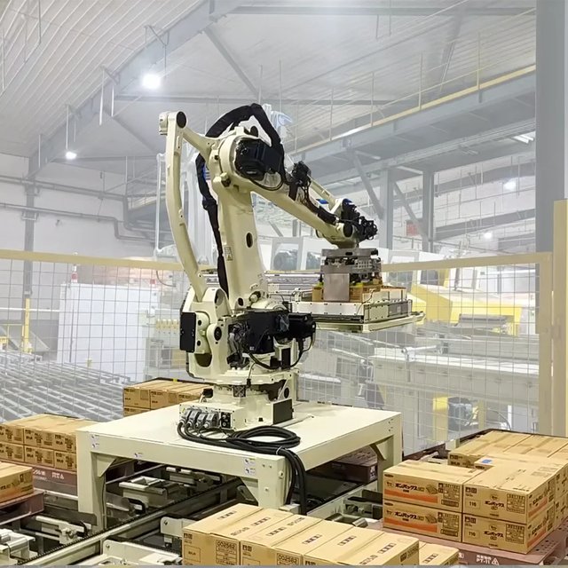 Auto Robot Box Palletizer