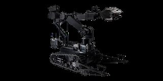Atrax