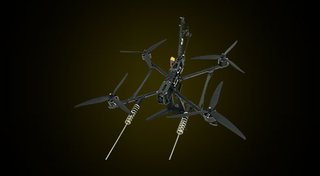 Wild Hornet Digital