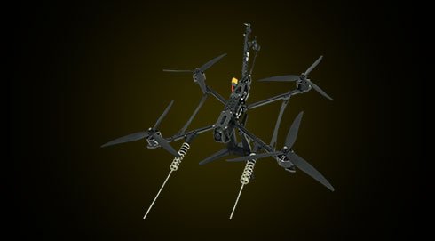 Wild Hornet Digital
