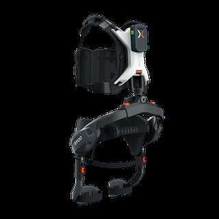 Back Support B100