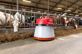 Lely Juno