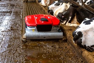Lely Discovery Collector