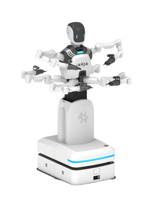 iSAGEBOT Heterogeneous Hexa-arm Robot