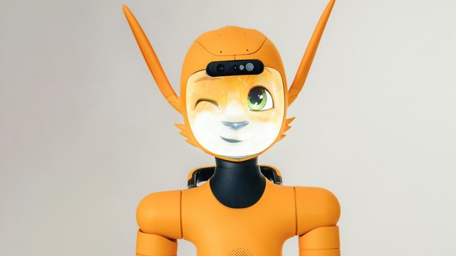 Mirokai