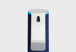 Cobalt Security Robot