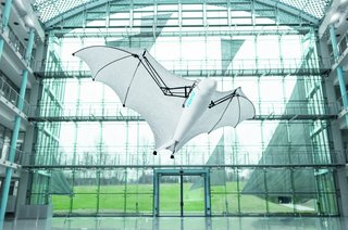 Bionic Flying Fox
