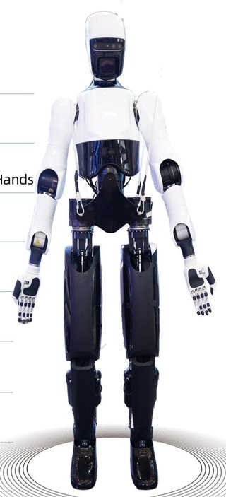 YMBot Type A