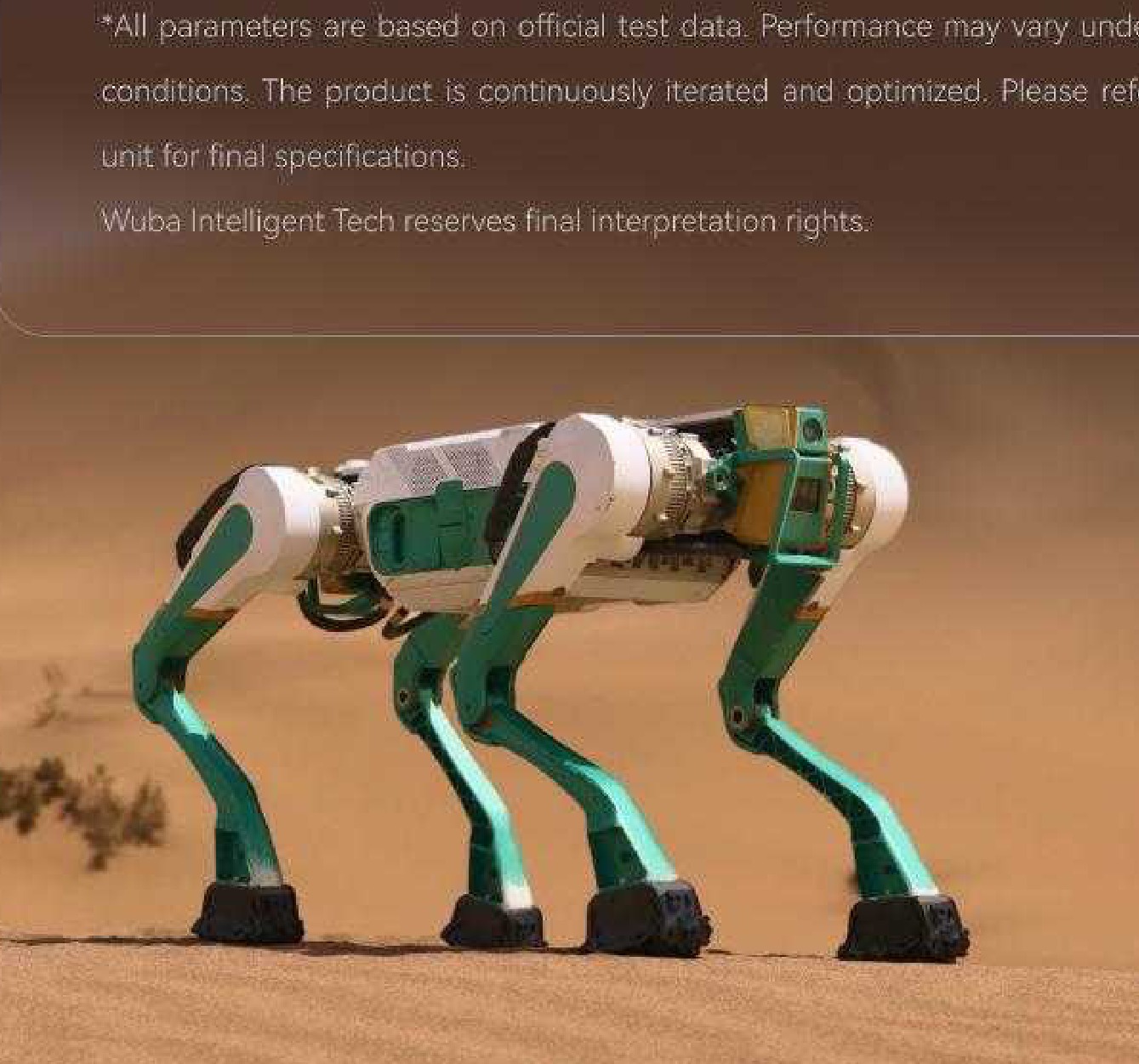 WUBA Tian Lang Q25 robot
